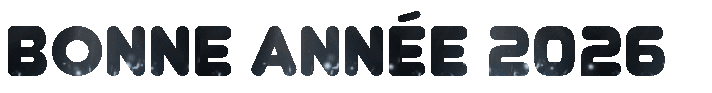 Glitters animé scintillants texte Bonne 2026
