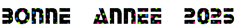 Gif animé avec texte Bonne 2027 feux d'artifice