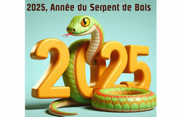 image: 2025 sera l'année du Serpent de Bois.