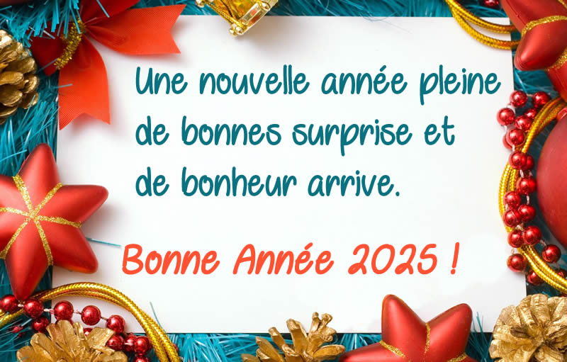 image voeux avec texte Une nouvelle année pleine de bonnes surprise et de bonheur arrive. Bonne Année 2025