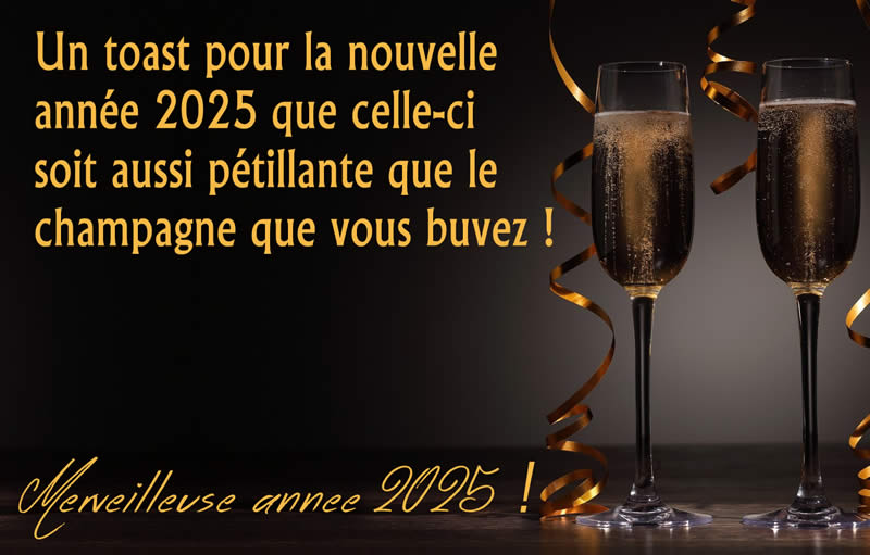 Image avec texte: Un toast pour la nouvelle année 2025que celle-ci soit aussi pétillante que le champagne que vous buvez !