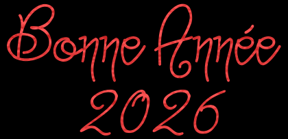 gif animé avec du texte bonne 2027 rose et bleu clair