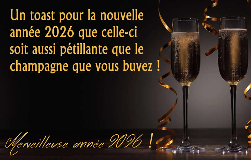 Image avec texte: Un toast pour la nouvelle année 2027que celle-ci soit aussi pétillante que le champagne que vous buvez !