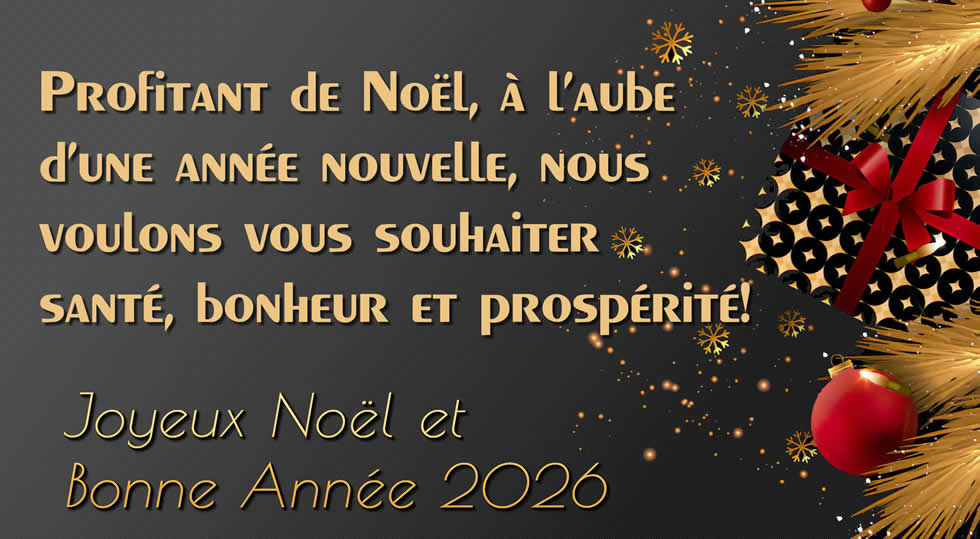 Image avec Profitant de Noël, à l’aube d’une année nouvelle, nous voulons vous souhaiter santé, bonheur et prospérité!.