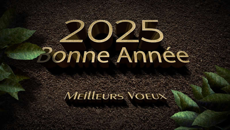 Image avec texte Bonne année 2025 et meilleurs voeux