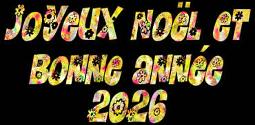 Image avec fond noir et texte floral Joyeux Noël et Jour de l'an 2026