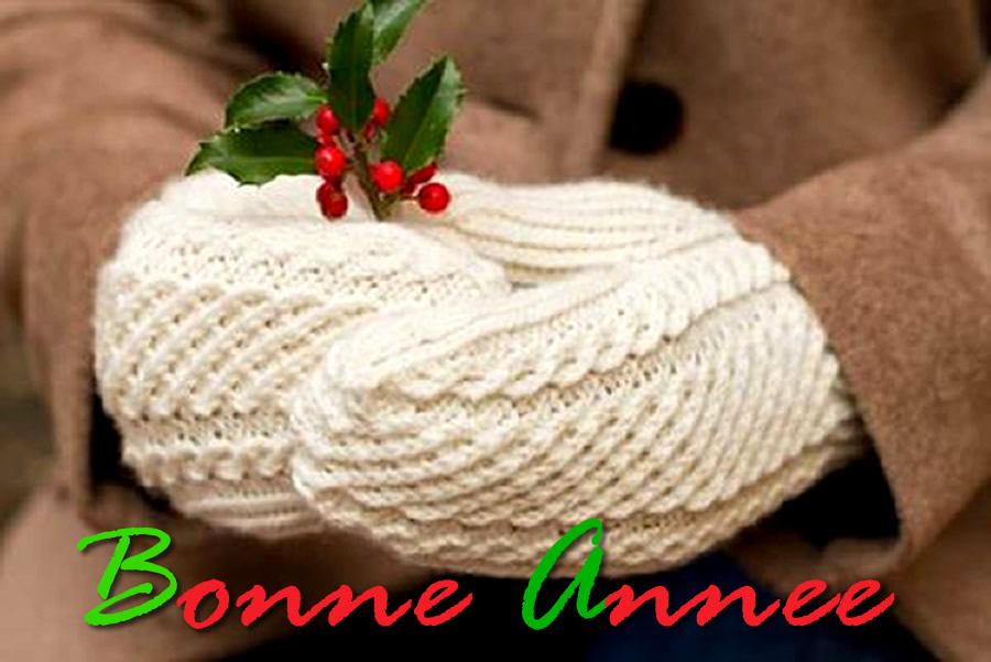 image avec femme tenant dans ses mains avec des gants, un tas de houx, dans les couleurs classiques de Noël