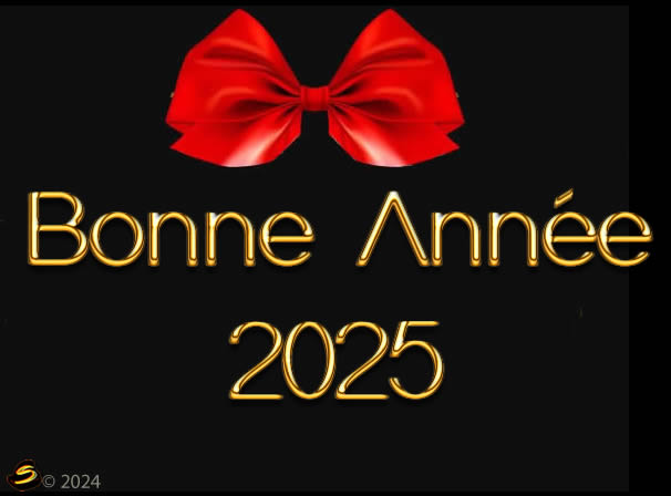 Gifs animés humour Joyeux Noël et bonne année 2021 - gifs drôle voeux 2021