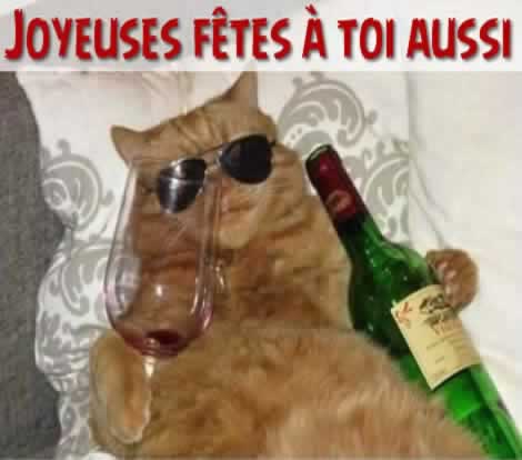 Chat vous souhaitant de joyeuses fêtes