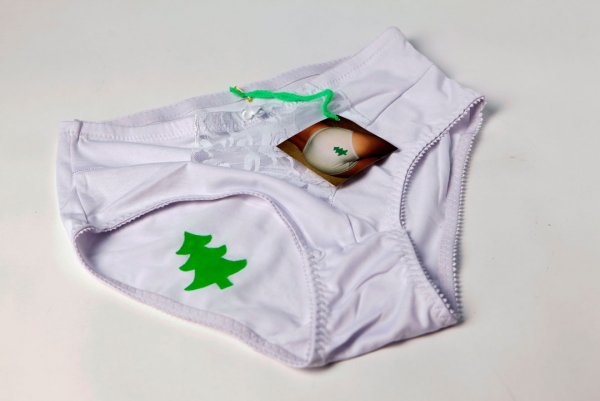idée pour un joli cadeau. Une culotte décorée pour Noël