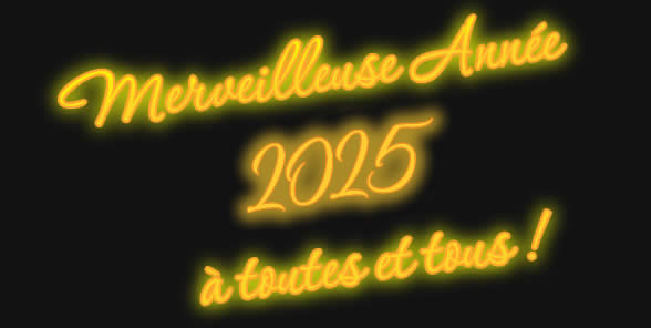 image merveilleuse annee 2025