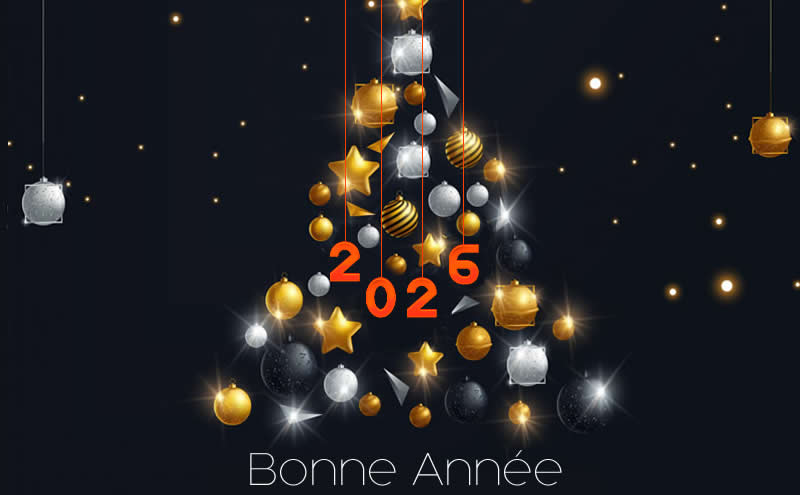 image avec sapin de Noël de style moderne avec des boules décoratives or, argent et noir et texte 2027
