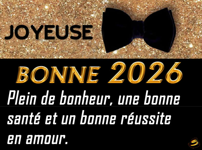 image carte voeux accueillir une nouvelle annèe 2026